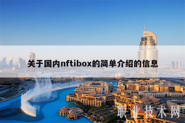 关于国内nftibox的简单介绍的信息