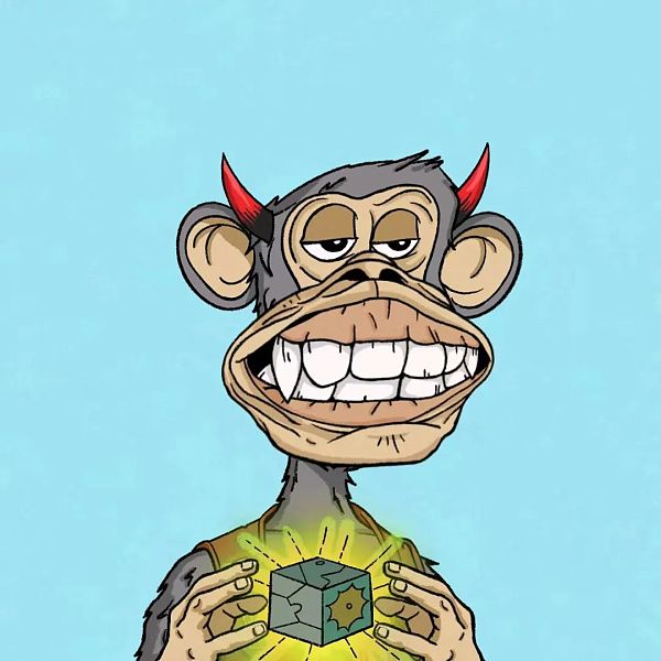 我花86万人民币买了一只猴子 但它有82个爸妈插图3 我花86万人民币买了一只猴子 但它有82个爸妈