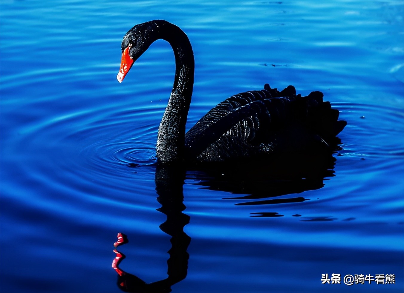 如何从零开始学金融（如何从零开始学金融知识）