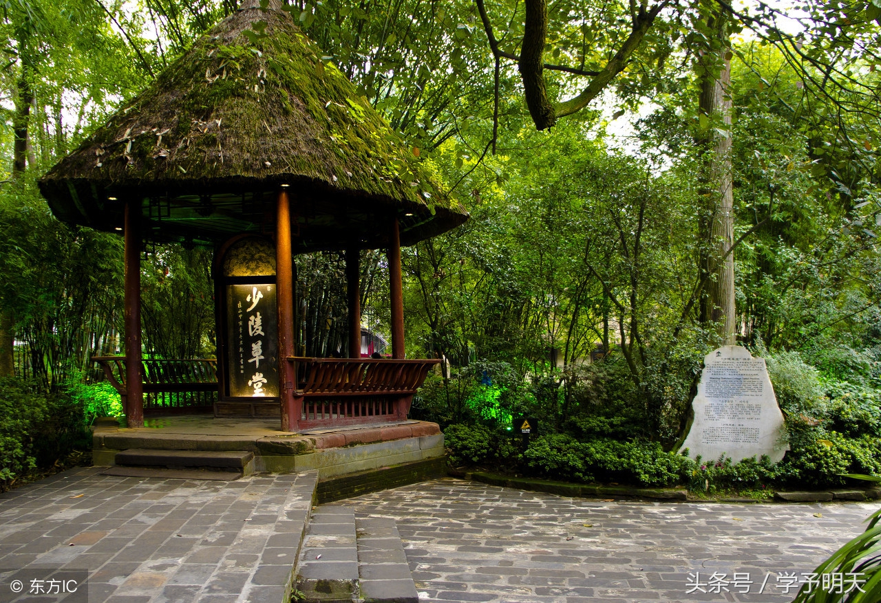 迟日江山丽的意思（迟日江山丽的意思三年级）