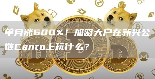 单月涨600%!加密大户在新兴公链Canto上玩什么?插图 单月涨600%!加密大户在新兴公链Canto上玩什么?