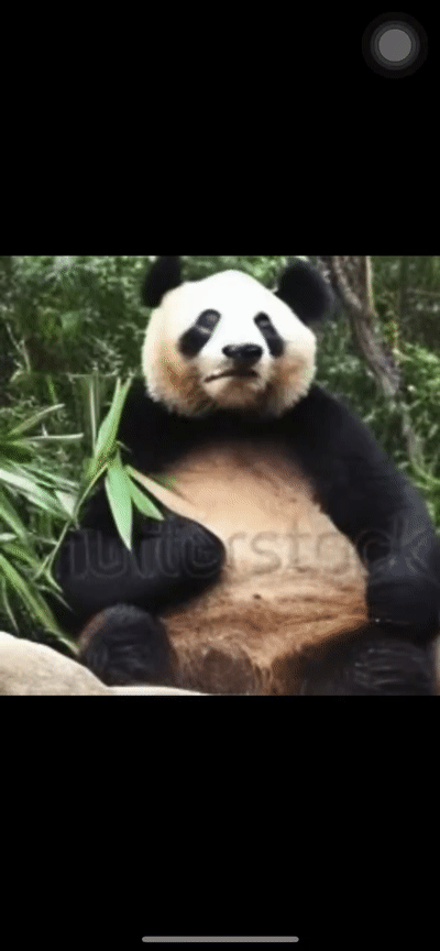 阿里达摩院低调上线文本生成视频大模型，可以试玩！AI开始卷视频了！