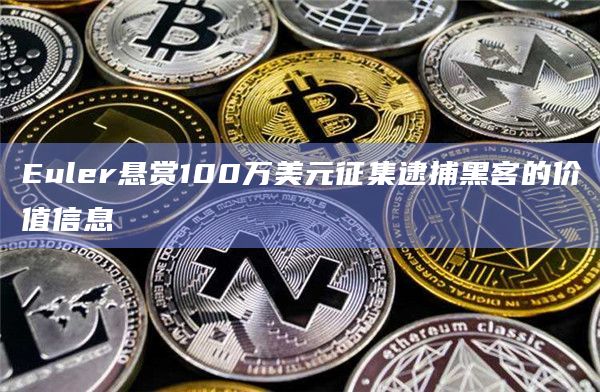 Euler悬赏100万美元征集逮捕黑客的价值信息