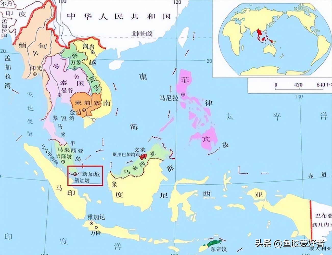 什么鱼的鱼胶最好（吃鱼胶的10大禁忌）