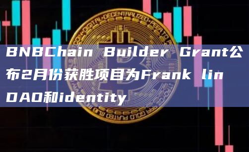 BNBChain Builder Grant公布2月份获胜项目为Frank lin DAO和identity插图 BNBChain Builder Grant公布2月份获胜项目为Frank lin DAO和identity