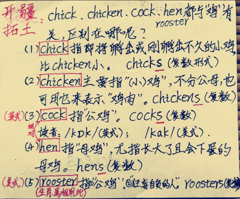 母鸡的英语怎么读（鸭子的英语怎么读）