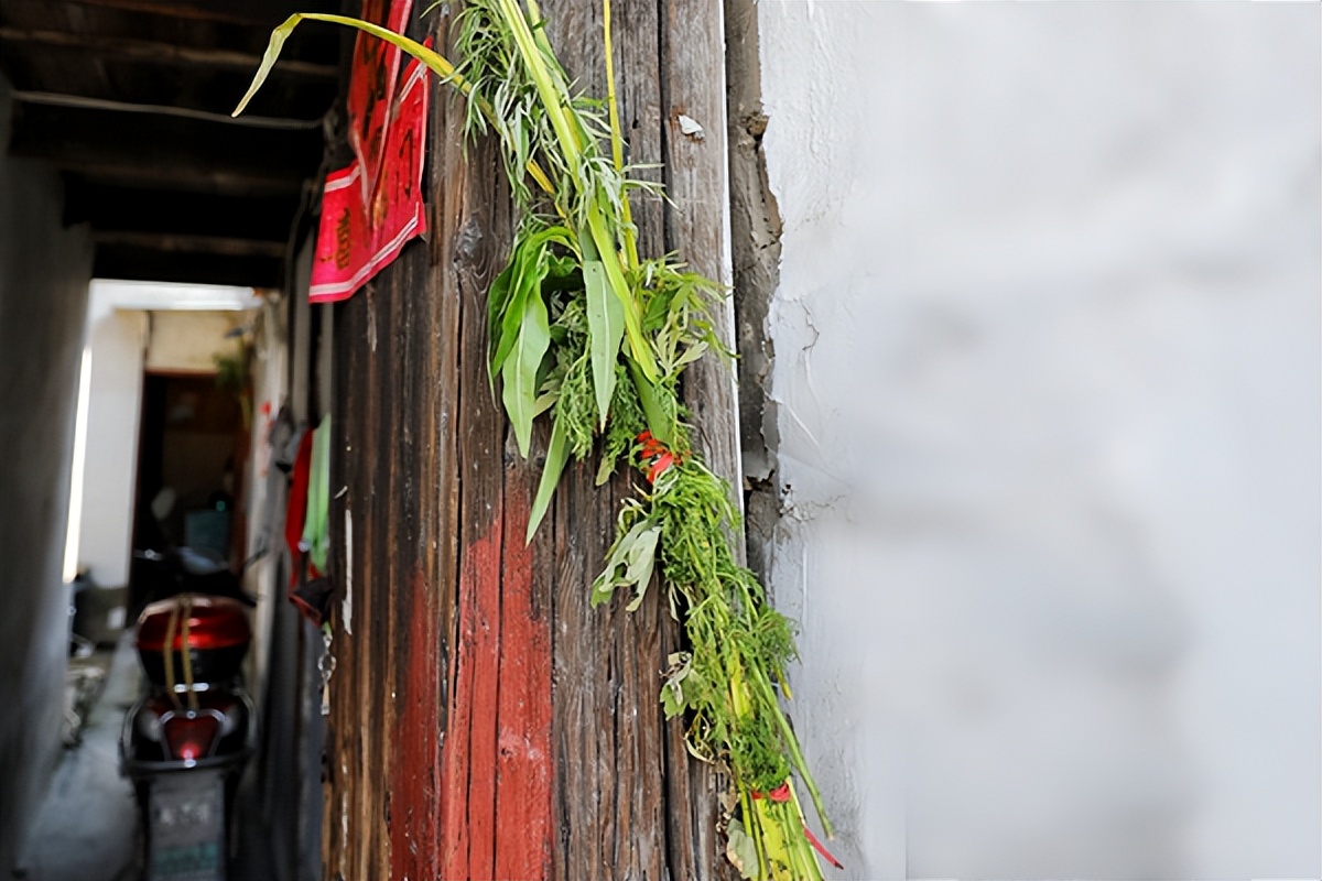 为什么叫端午安康（为啥叫端午安康）