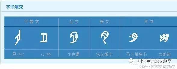 月字旁的有什么字（忄字旁的有什么字）