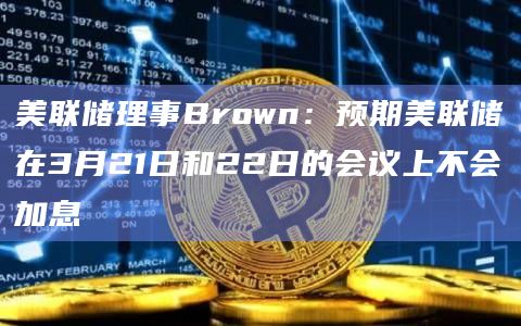 美联储理事Brown:预期美联储在3月21日和22日的会议上不会加息插图 美联储理事Brown:预期美联储在3月21日和22日的会议上不会加息