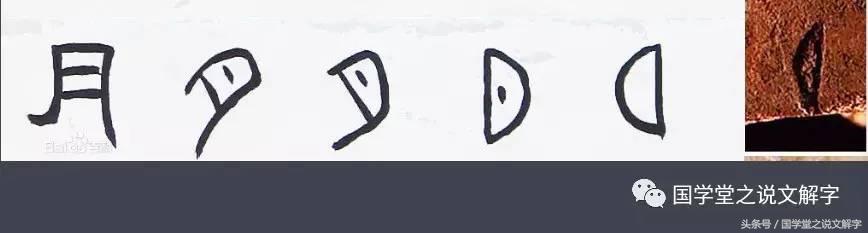 月字旁的有什么字（忄字旁的有什么字）