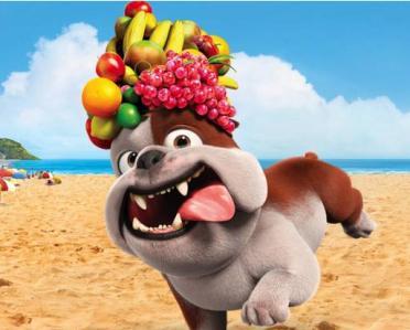 小狗能吃哈密瓜吗（小狗能吃哈密瓜吗为什么）