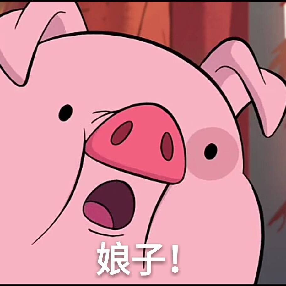 娘子啊哈是什么歌（娘子啊哈是什么歌歌词是什么意思）