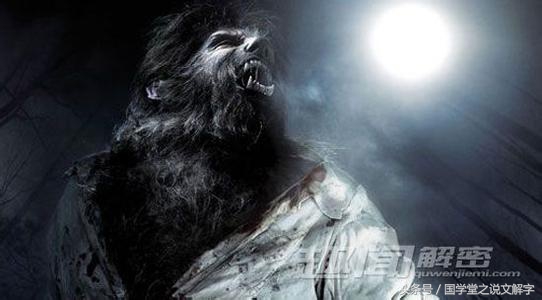 月字旁的有什么字（忄字旁的有什么字）