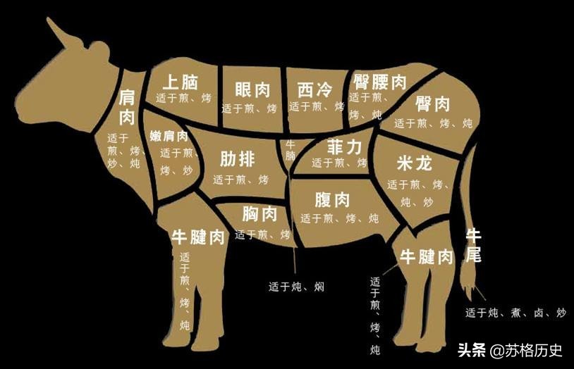 玉米压片的价格（买小型玉米压片设备多少钱）