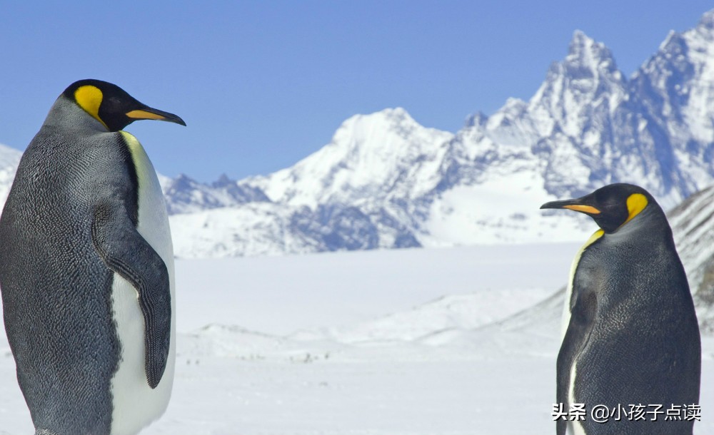 一个弓一个山一个又（一个弓一个山一个又念什么字）