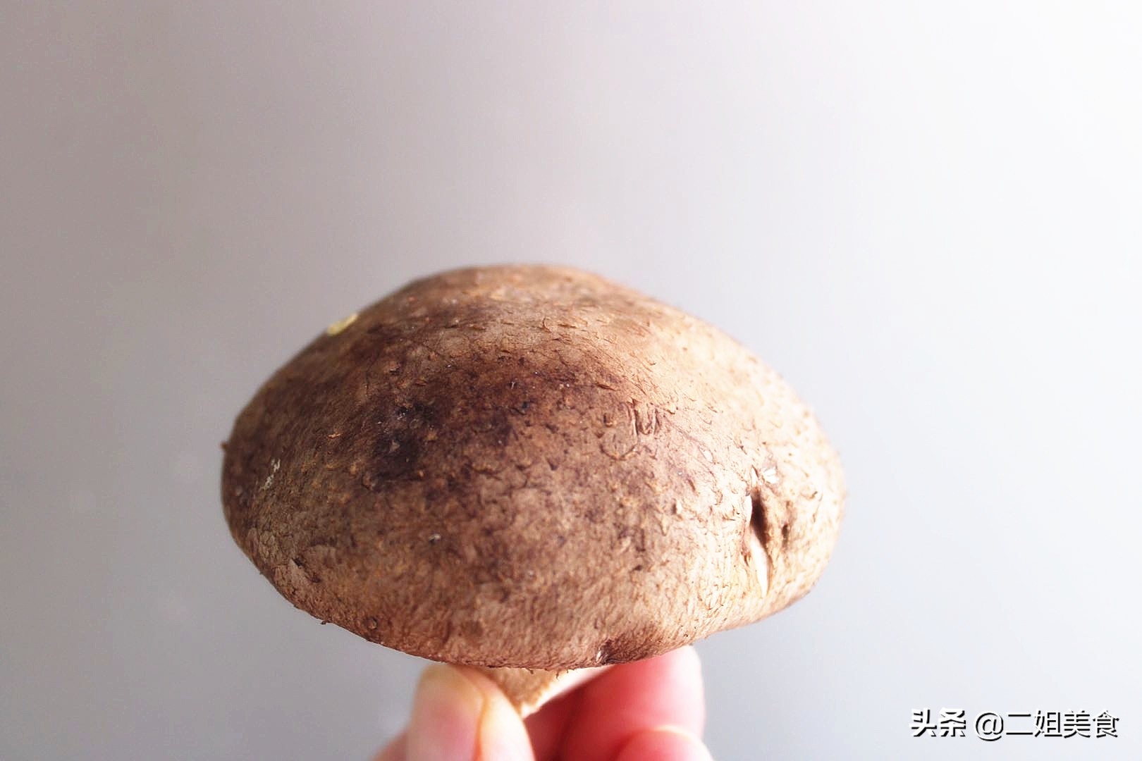 新鲜香菇怎么保存（洗过的新鲜香菇怎么保存）