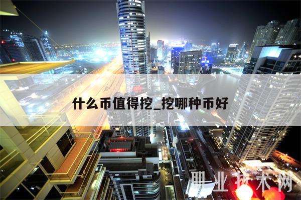 什么币值得挖_挖哪种币好