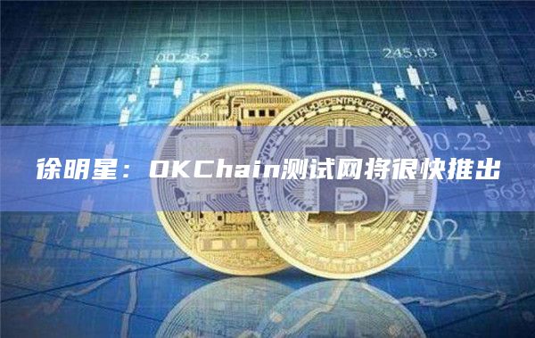 徐明星：OKChain测试网将很快推出