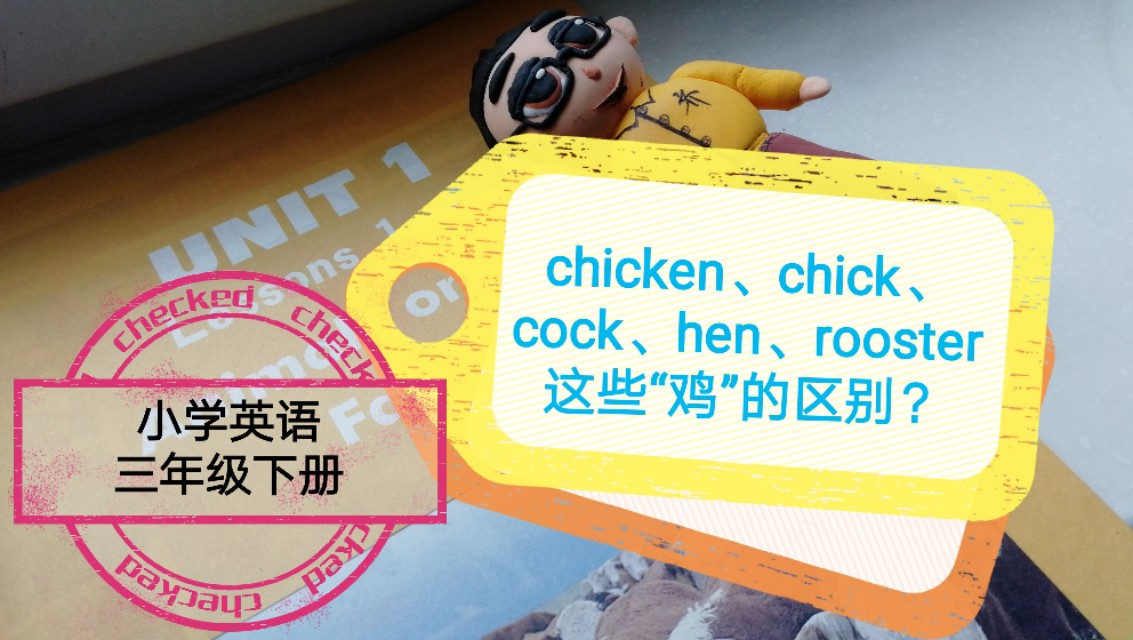 母鸡的英语怎么读（鸭子的英语怎么读）