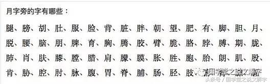 月字旁的有什么字（忄字旁的有什么字）