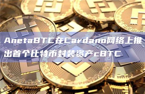 AnetaBTC在Cardano网络上推出首个比特币封装资产cBTC插图 AnetaBTC在Cardano网络上推出首个比特币封装资产cBTC
