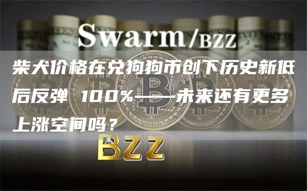 柴犬价格在兑狗狗币创下历史新低后反弹 100%——未来还有更多上涨空间吗?插图 柴犬价格在兑狗狗币创下历史新低后反弹 100%——未来还有更多上涨空间吗?