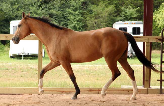 63年属什么生肖（63年属什么生肖配对）