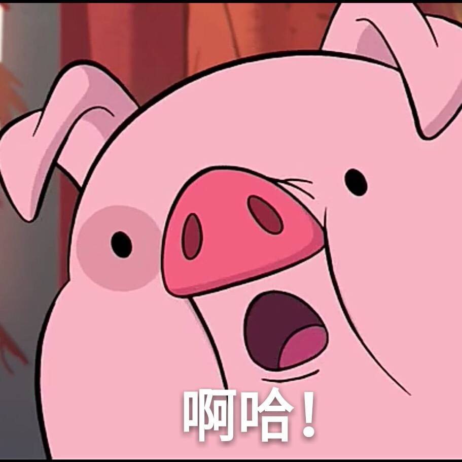 娘子啊哈是什么歌（娘子啊哈是什么歌歌词是什么意思）