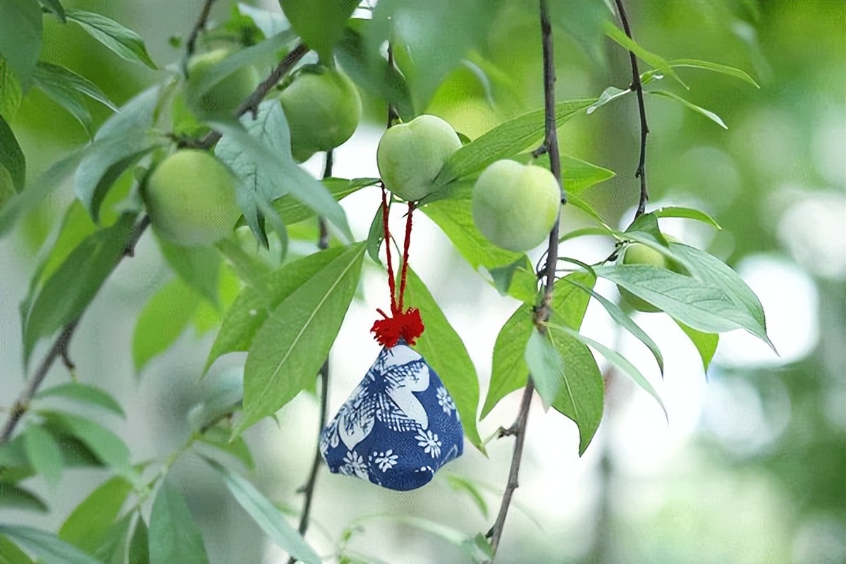 为什么叫端午安康（为啥叫端午安康）