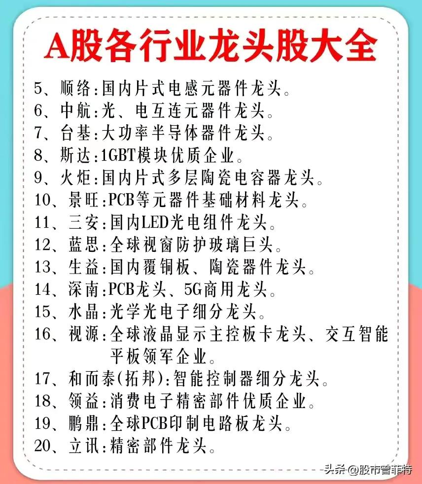 龙头股票有哪些（券商龙头股票有哪些）