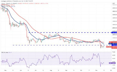 比特币今日最新价格 BTC最新行情分析资讯插图2 比特币今日最新价格 BTC最新行情分析资讯
