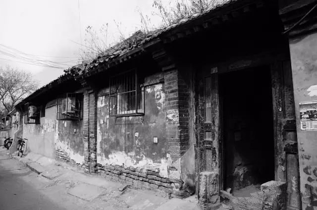 四大仙是什么动物（东北四大仙是什么动物）