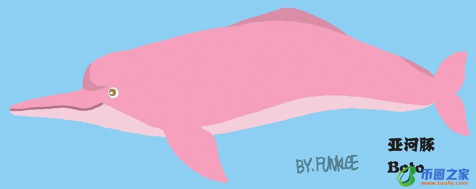 鲸鱼和海豚的区别(鲸鱼和海豚的区别在哪里)插图13 鲸鱼和海豚的区别(鲸鱼和海豚的区别在哪里)
