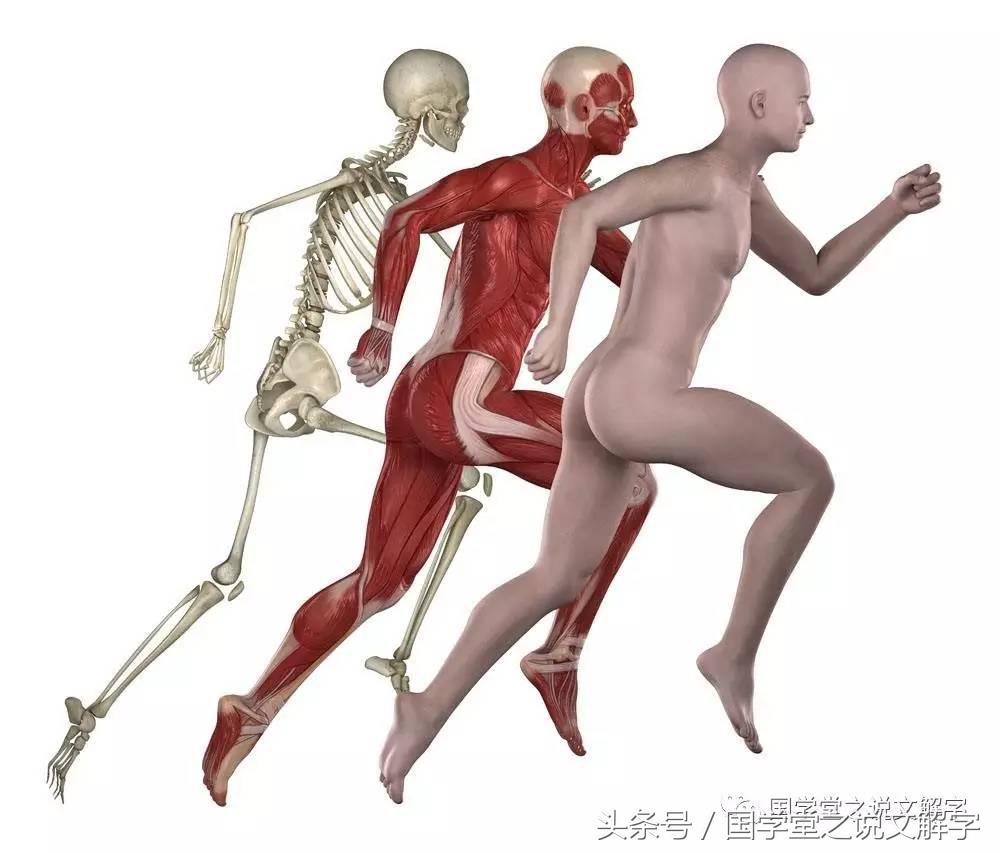 月字旁的有什么字（忄字旁的有什么字）