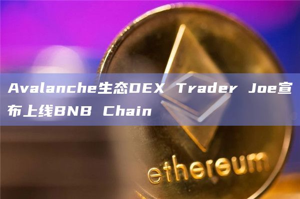 Avalanche生态DEX Trader Joe宣布上线BNB Chain