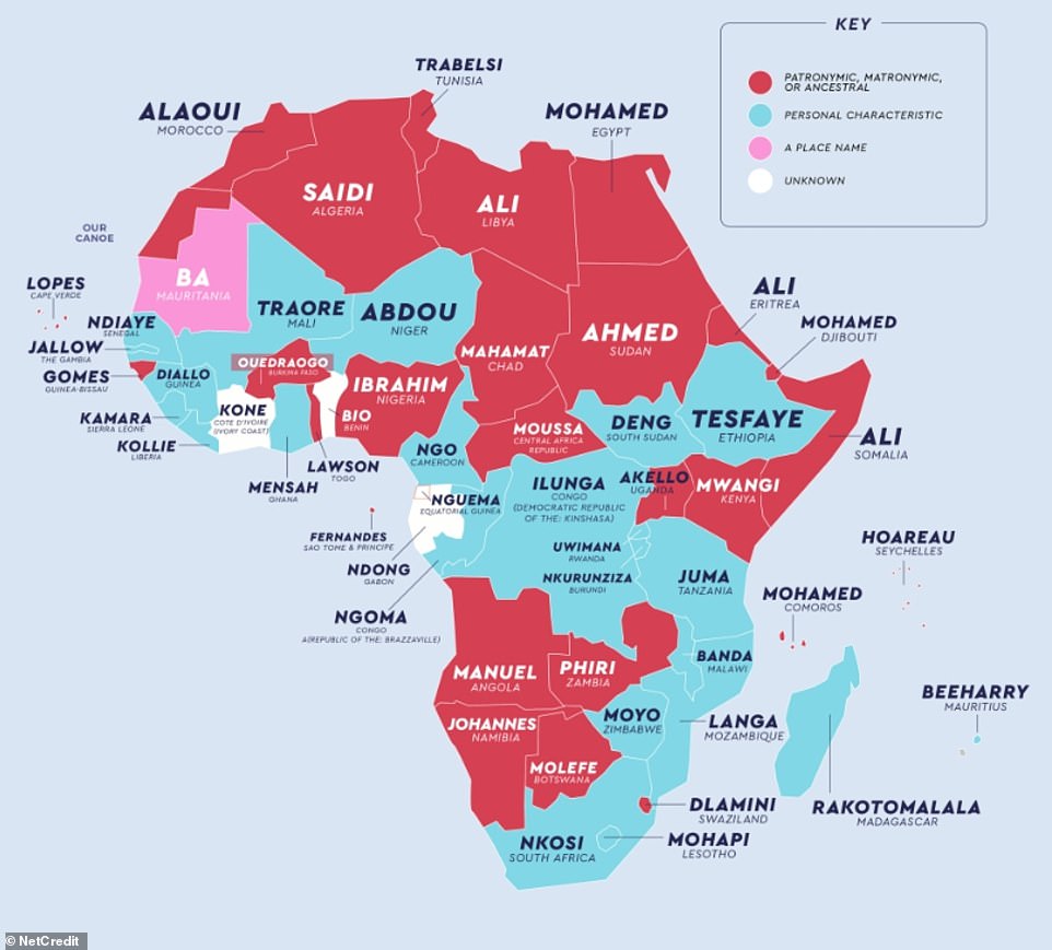 kim是什么意思（kimchi是什么意思）