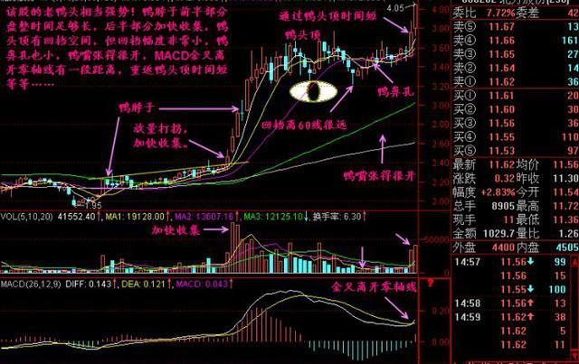 股票老鸭头形态图解（股票倒挂老鸭头形态图解）