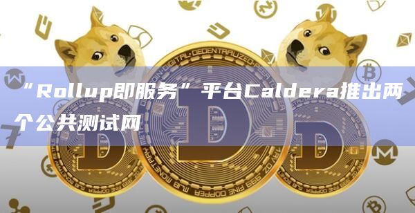 “Rollup即服务”平台Caldera推出两个公共测试网插图 “Rollup即服务”平台Caldera推出两个公共测试网
