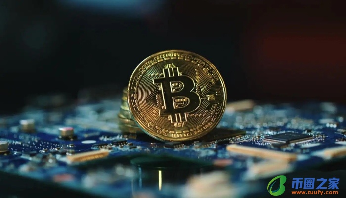 维卡币最后53天了(今天维卡币成功了吗)插图 维卡币最后53天了(今天维卡币成功了吗)