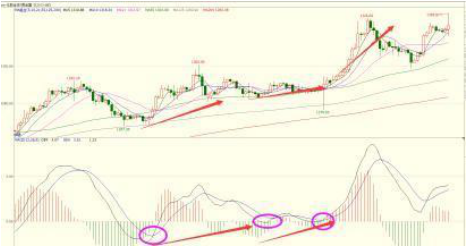 macd指标怎么看（外汇macd指标怎么看）