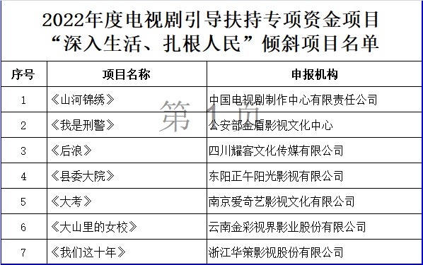政府扶持项目有哪些（政府扶持项目有哪些内容）