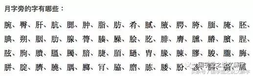 月字旁的有什么字（忄字旁的有什么字）
