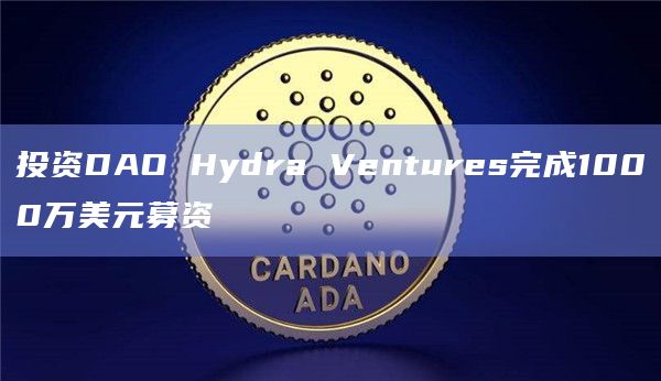 投资DAO Hydra Ventures完成1000万美元募资