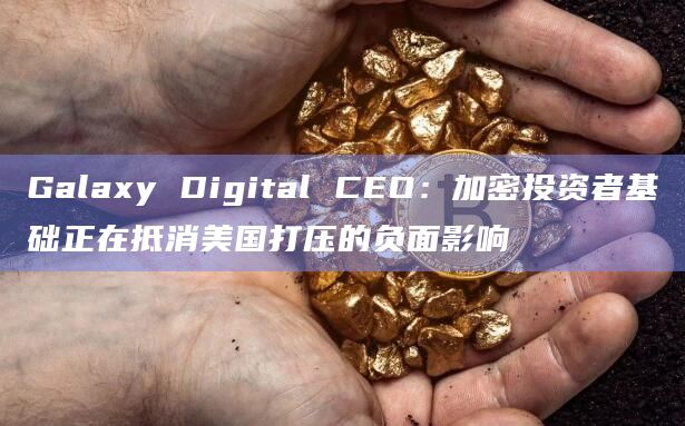 Galaxy Digital CEO：加密投资者基础正在抵消美国打压的负面影响