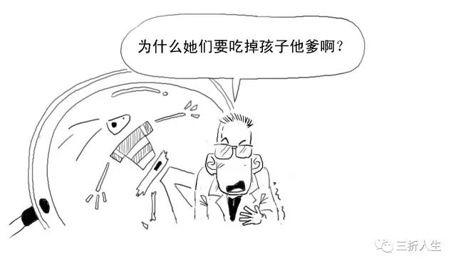 保理是什么意思（保理支付工程款什么意思）