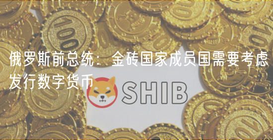 俄罗斯前总统：金砖国家成员国需要考虑发行数字货币