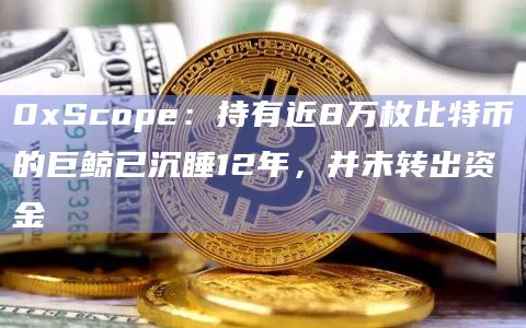 0xScope：持有近8万枚比特币的巨鲸已沉睡12年，并未转出资金