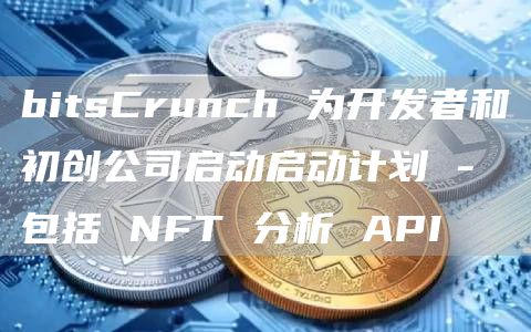 bitsCrunch 为开发者和初创公司启动启动计划 – 包括 NFT 分析 API插图 bitsCrunch 为开发者和初创公司启动启动计划 - 包括 NFT 分析 API