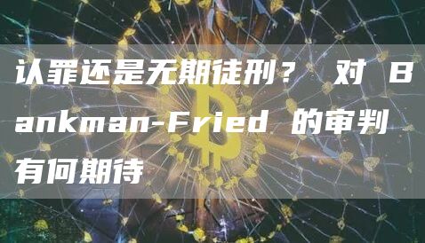 认罪还是无期徒刑? 对 Bankman-Fried 的审判有何期待插图 认罪还是无期徒刑? 对 Bankman-Fried 的审判有何期待