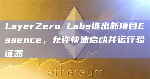 LayerZero Labs推出新项目Essence,允许快速启动并运行验证器插图 LayerZero Labs推出新项目Essence,允许快速启动并运行验证器